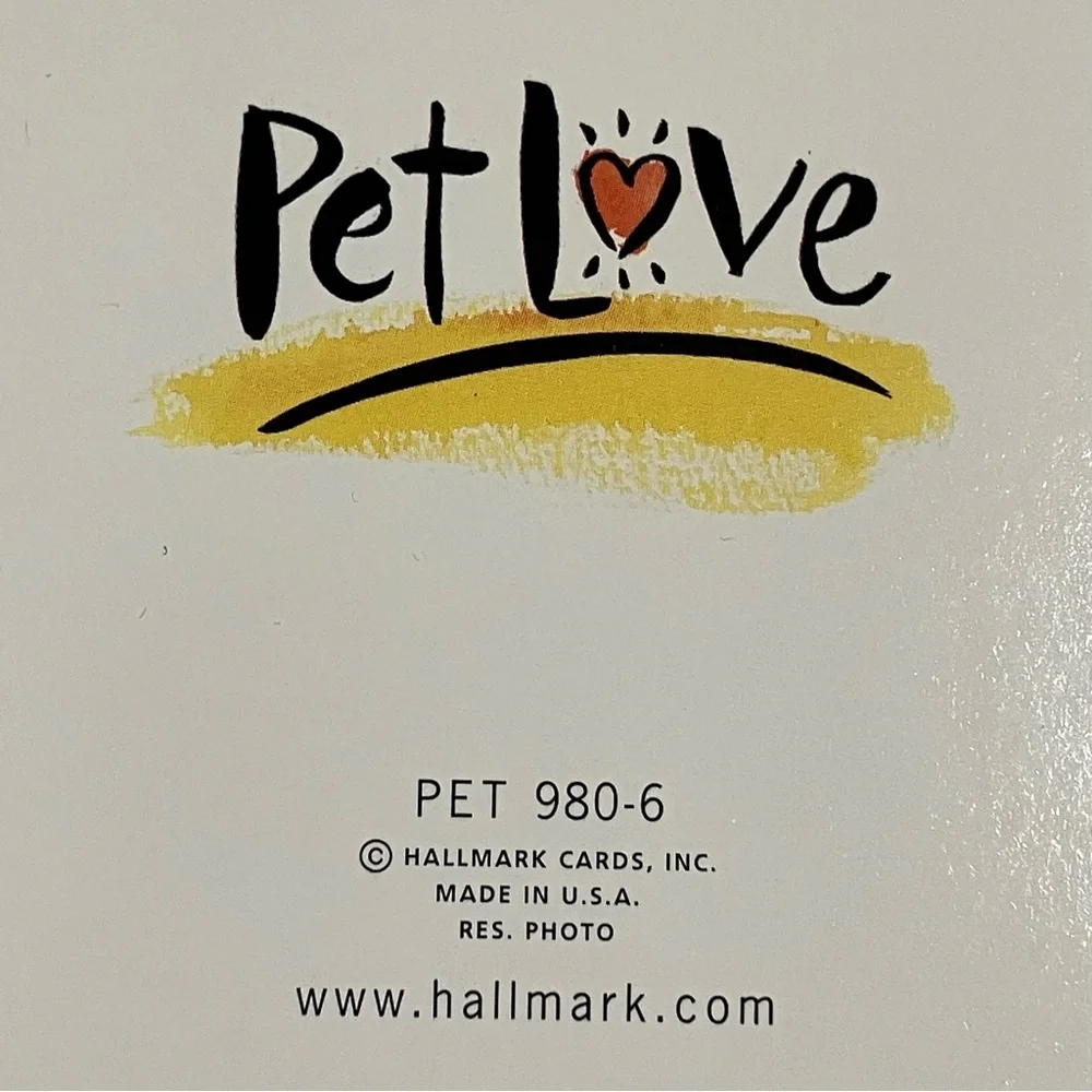 Kitten Cat Blank Hallmark Greeting Card Pet Love Lot of 6 w Envelopes